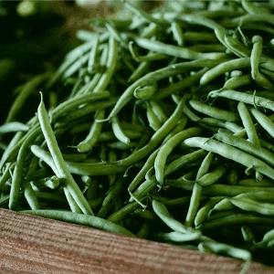 Haricot vert