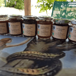 confiture  de prunes