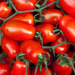 Tomates Roma SoloBio
