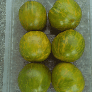 Tomate Green Zebra