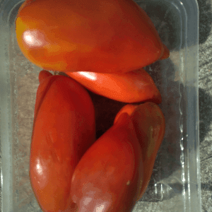 Tomate Andine