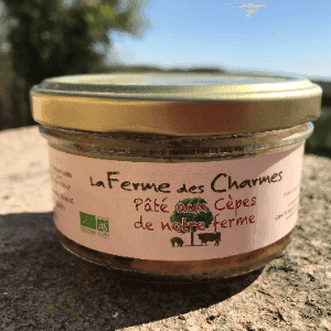 Pâté aux cèpes bio