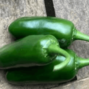 Piment Oryzoba piquant