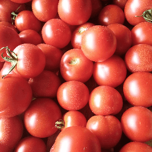 Tomates