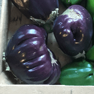 AUBERGINE Rotonda bianca sfumata di rosa ou Black beauty