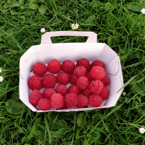 FRAMBOISES 100g