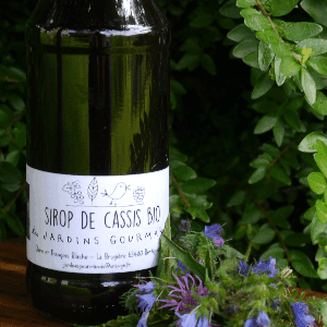 Sirop de cassis Bio