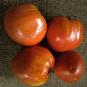 Tomate Coeur de Boeuf