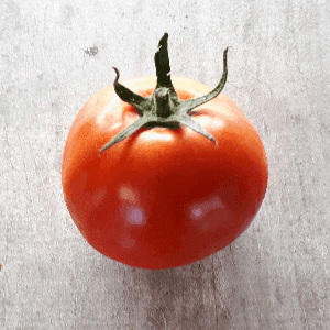 Tomate rouge ronde