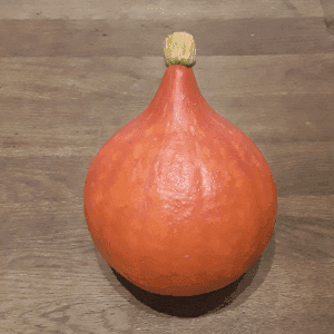Potimarron