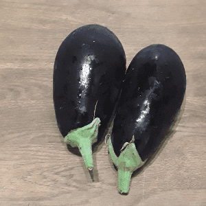 Aubergine