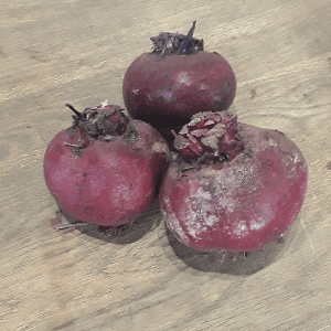 Betteraves rouges