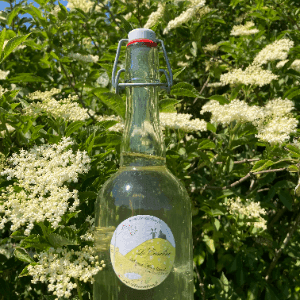 sirop de fleurs de sureau