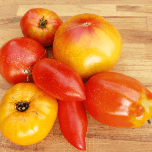 Tomates Anciennes