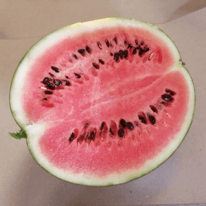 Demi pastèque