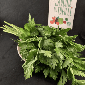 PERSIL Plat