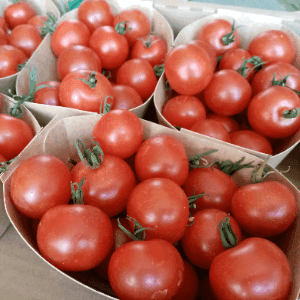Tomate cerise