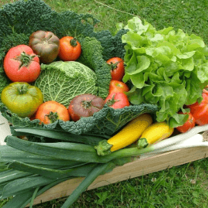 Panier de légumes