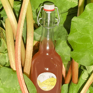 Nectar de rhubarbe citronné