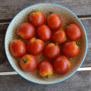 Tomates Rondes Apéritives