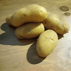 Pommes de terre 'Laurette'