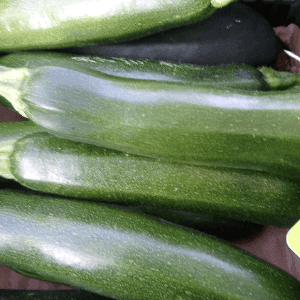 Courgettes vertes