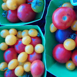 Tomates en barquette