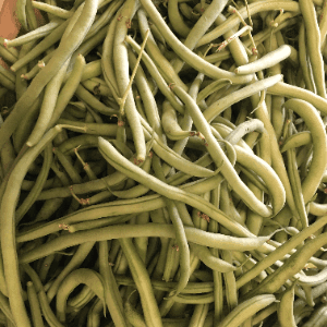 Haricot vert