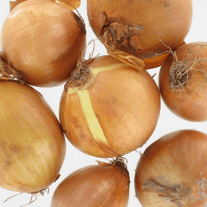 oignon jaune(1kg)