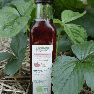 Sirop de fraises