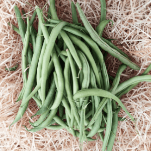 Haricots verts