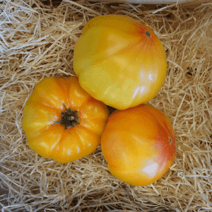 Tomate Ananas