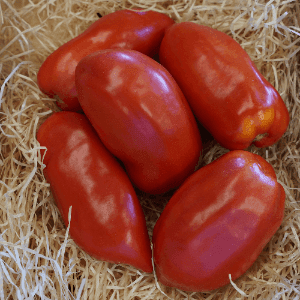 Tomate Andine Cornue