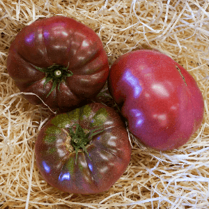 Tomate Noire de Crimée