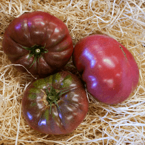 Tomate Noire de Crimée