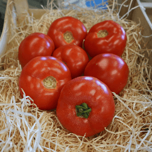 Tomate ronde Paola