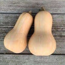 Butternut