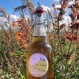 Sirop de fleurs d'agastache