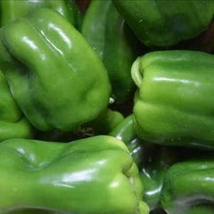 Poivron BIO