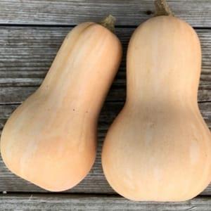 courge butternut