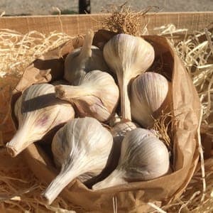 AIL (500 Grammes)