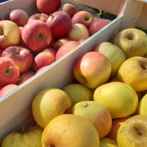 Pomme