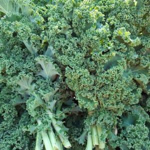Chou kale