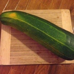 Courgette à farcir