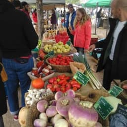 ferme du rougequeue #4