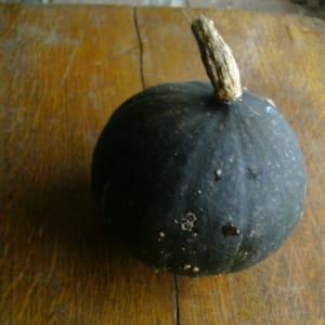Courge potimarron vert - Hokkaïdo