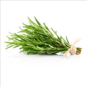 Bouquet de romarin