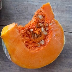 Potiron Musquée de Provence