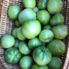 Tomates vertes confiture