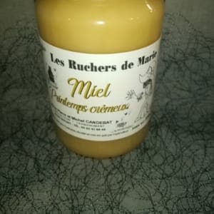 Miel  Printemps crémeux pot 500g